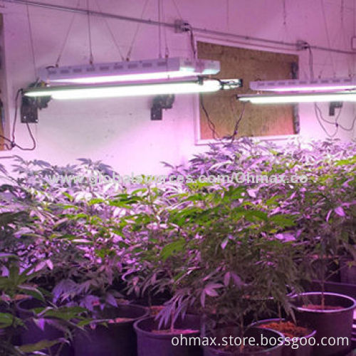 LED hydroponic grow light for indoor garden, full spectrum for medicinal plants & greenhouse